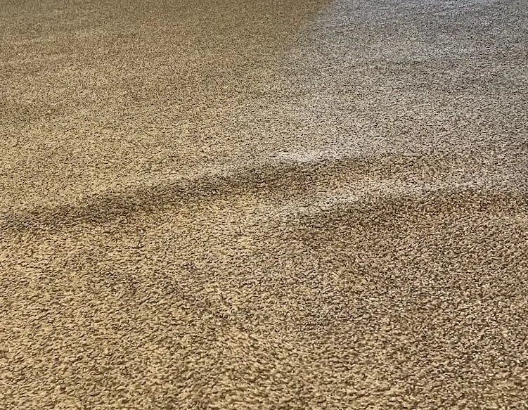 Large wave wrinkle and buckle across carpet before power stretching repair.