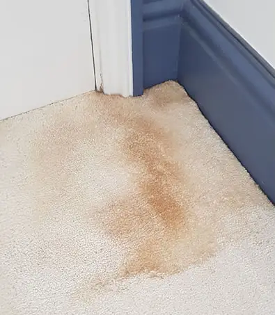 Pet urine stain on bedroom carpet before professional cleaning in Atlanta GA