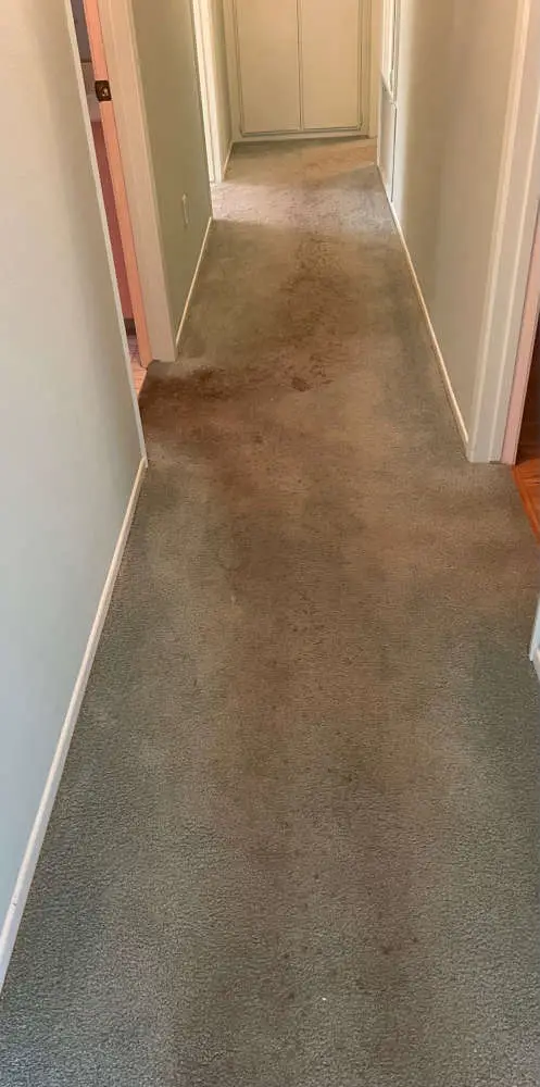 Soiled high-traffic hallway carpet before deep steam extraction cleaning in Atlanta GA