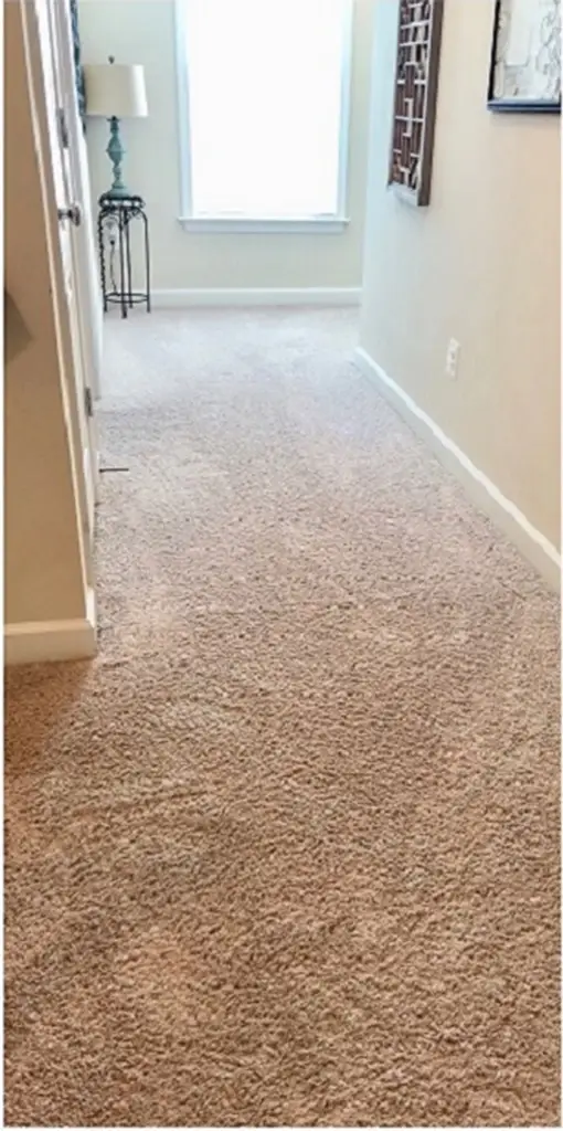 Smooth, freshly stretched carpet in a hallway after professional carpet stretching repair.