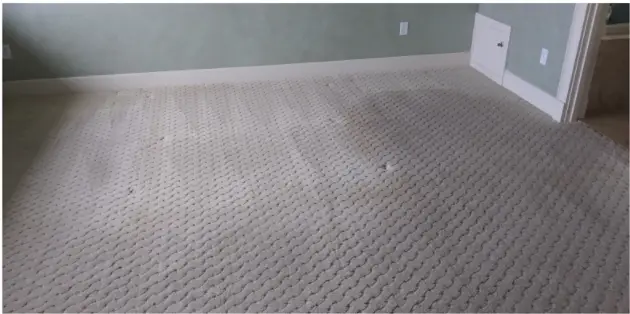 Carpet after professional power stretching by Best Services.