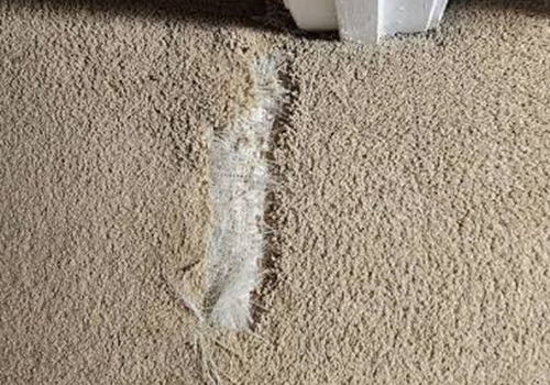 Atlanta carpet repair for pet damage before and after