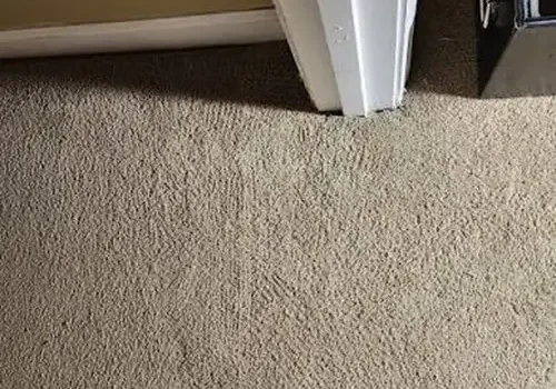 Carpet pet damage repair after in Atlanta.